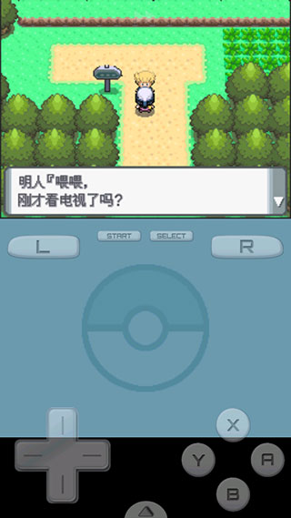 口袋妖怪珍珠版