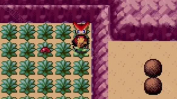 口袋妖怪燃之智5.0