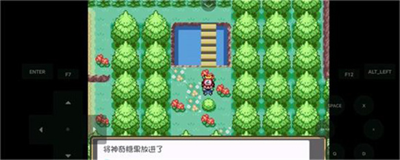 口袋妖怪燃之智5.0