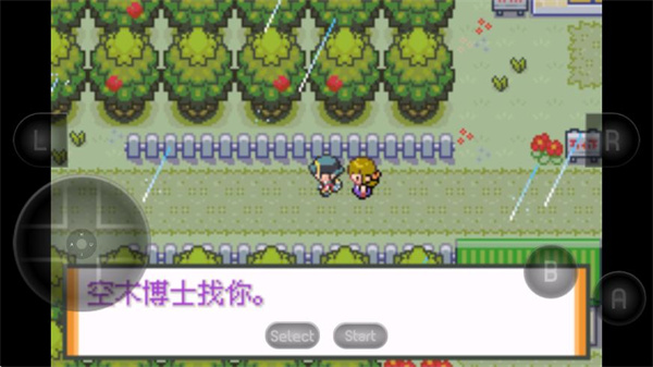 口袋妖怪黑白手机版