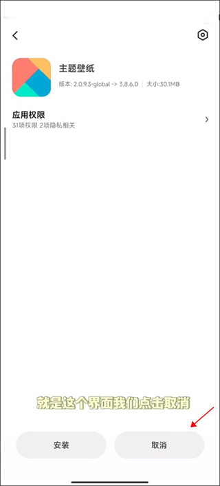 小米主题国际版