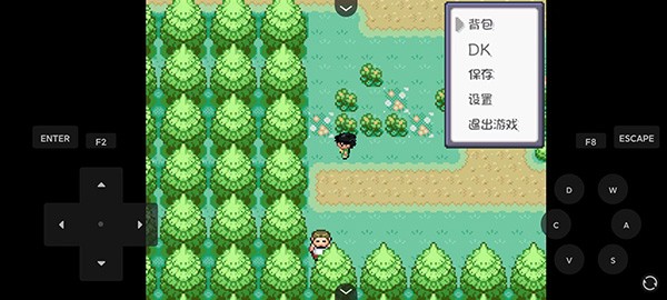 口袋妖怪燃之智5.0截图2