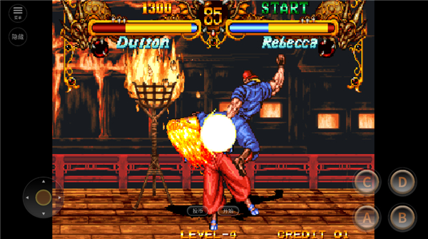 双截龙格斗经典版