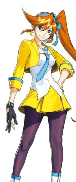 逆转裁判5完美汉化版