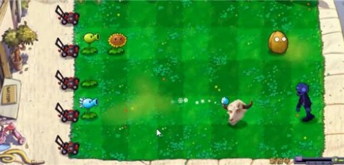 植物大战僵尸新指导版