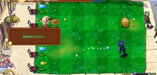 植物大战僵尸新指导版