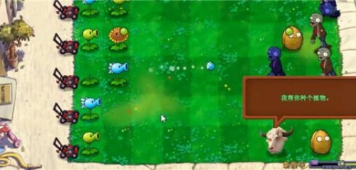 植物大战僵尸新指导版