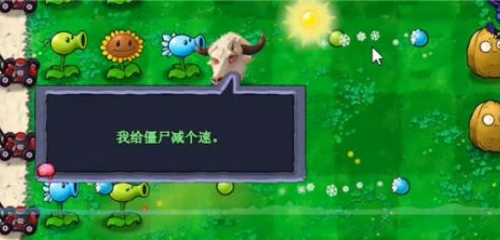 植物大战僵尸新指导版