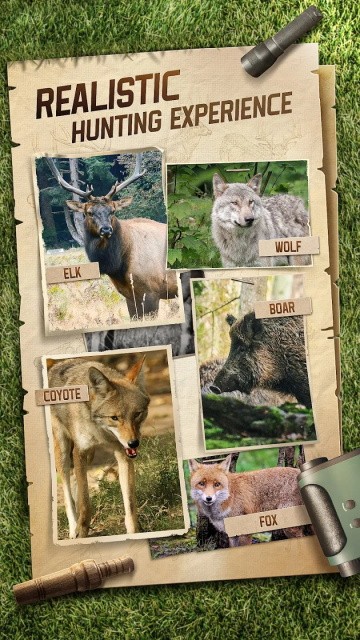 狩猎狙击手中文版截图4