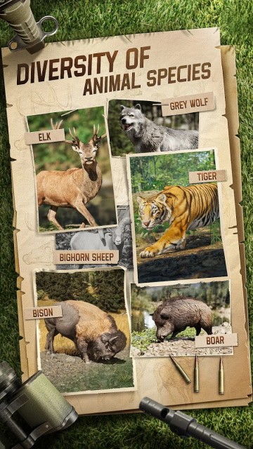 狩猎狙击手中文版截图5