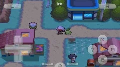 口袋妖怪心金魂银汉化版截图2