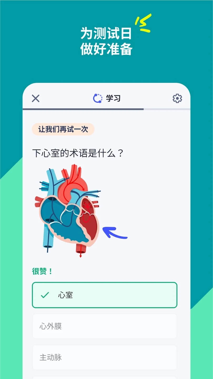 Quizlet安卓版截图2