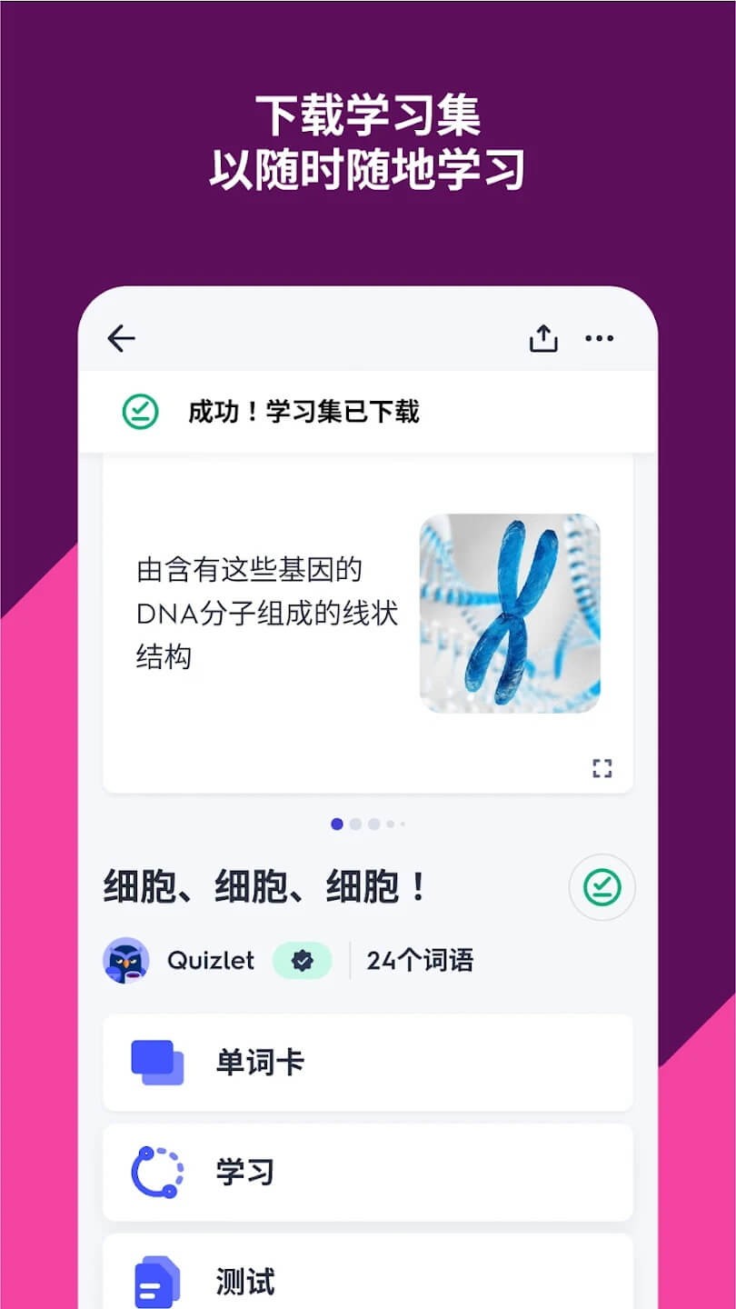 Quizlet安卓版截图3