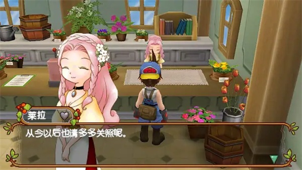 牧场物语蜜糖村