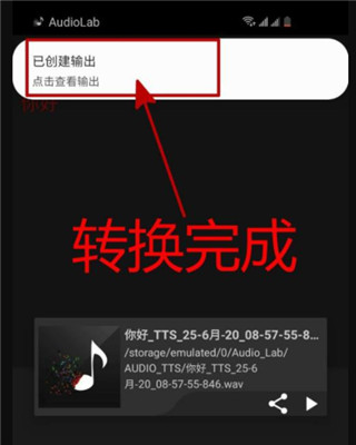 Audiolab专业版