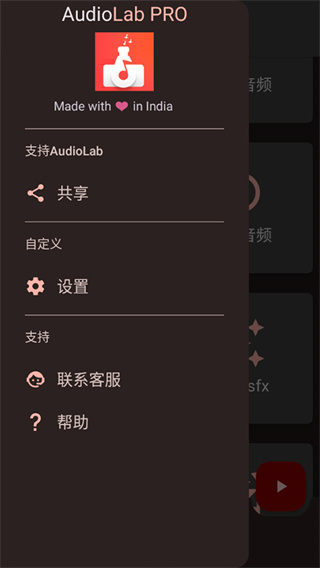 Audiolab专业版
