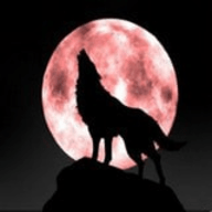 QQ空间万能查看器