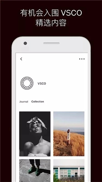 Vsco中文版截图1