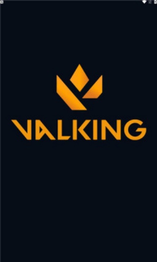 瓦罗兰特战绩查询