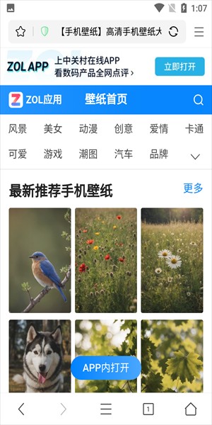 pp浏览器
