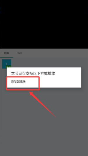 西瓜播放器