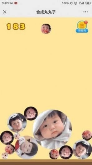 合成丸丸子截图1