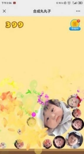 合成丸丸子截图2