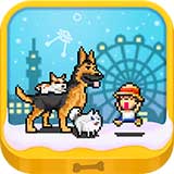 开罗发现狗狗乐园