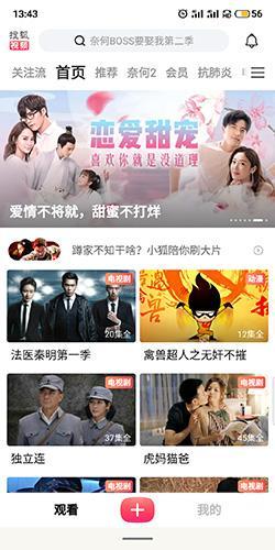 搜狐视频播放器