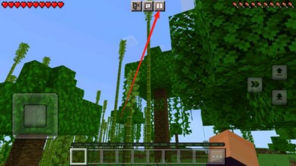 我的世界1.14
