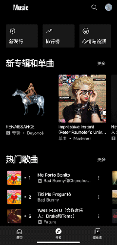 谷歌音乐播放器截图1