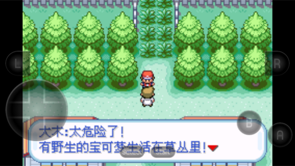 口袋妖怪模拟器