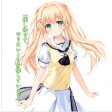 夏日口袋汉化手机版