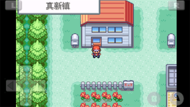 口袋妖怪火红版截图2