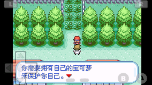 口袋妖怪火红版截图3