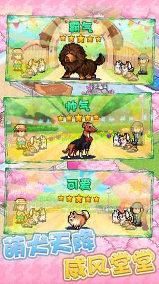 开罗发现狗狗乐园截图1