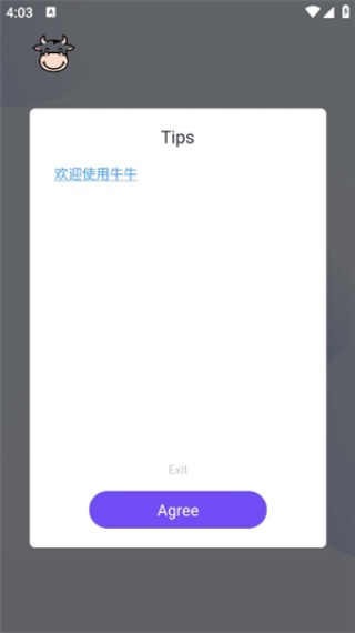 牛牛直装