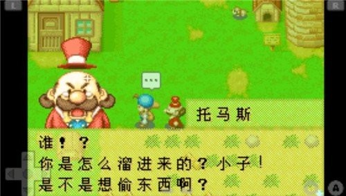 牧场物语矿石镇的伙伴们截图2