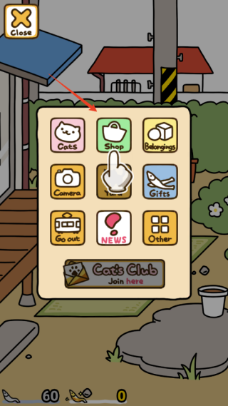 猫咪后院2国际服