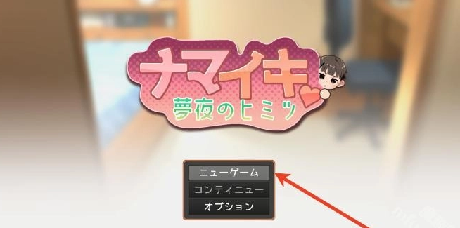 Namaiki汉化版