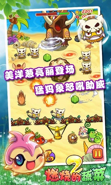 燃烧的蔬菜2经典版截图4