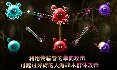 繁殖战争2截图1