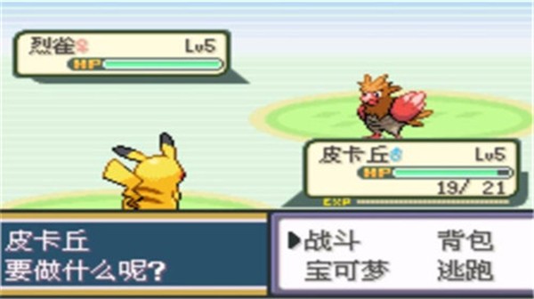 口袋妖怪圣灰截图2