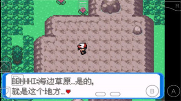 口袋妖怪圣灰截图3