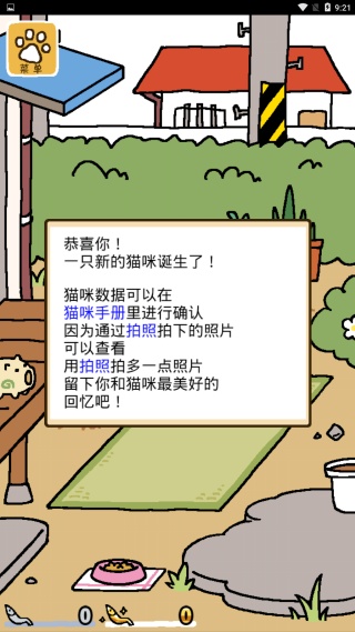 猫咪后院2汉化版