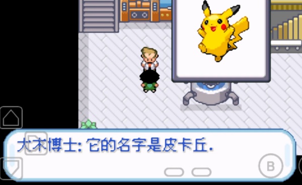 口袋妖怪圣灰