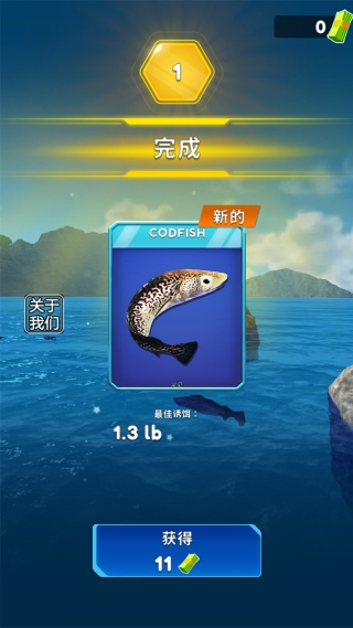 俄罗斯钓鱼4