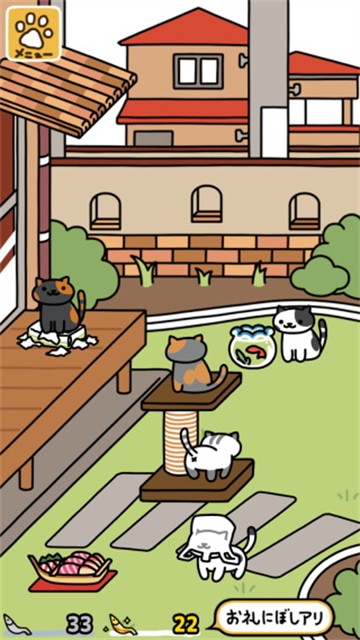 猫咪后院2国际服截图2