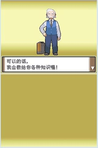 口袋妖怪白金截图3