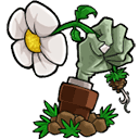 植物大战僵尸重置版